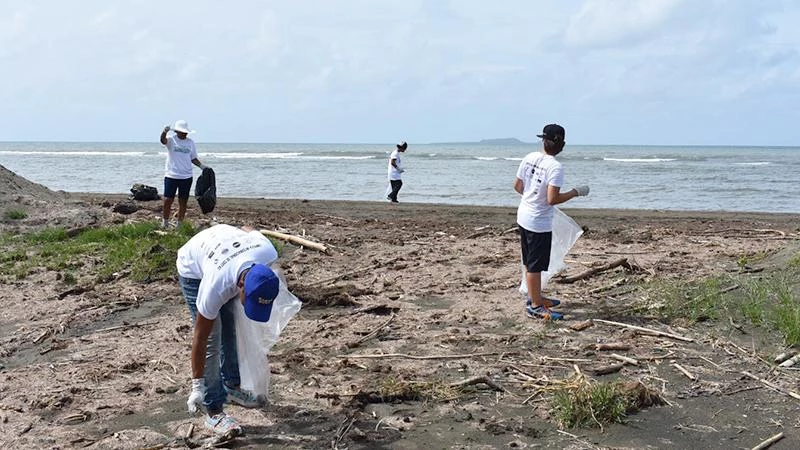 Coastal Cleanups 31